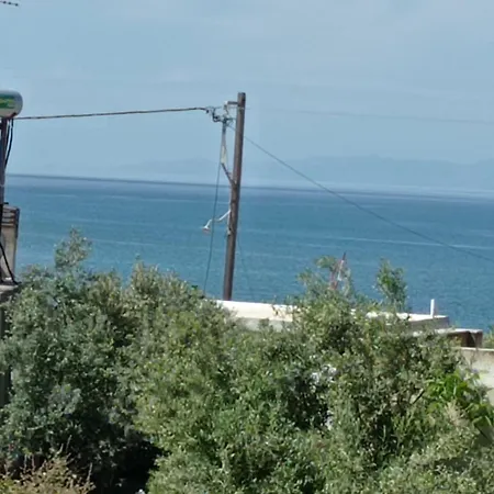 Ioanna's Traditional Elia (Laconia)