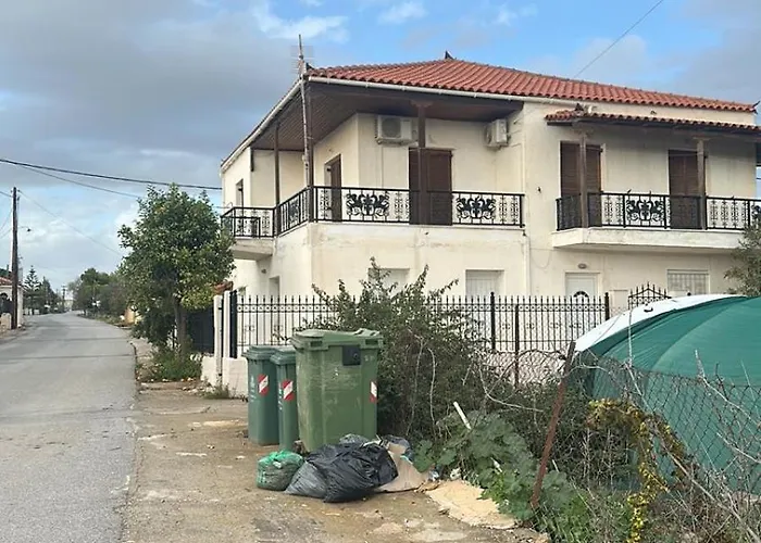 Daire Ioanna's Traditional Elia (Laconia)