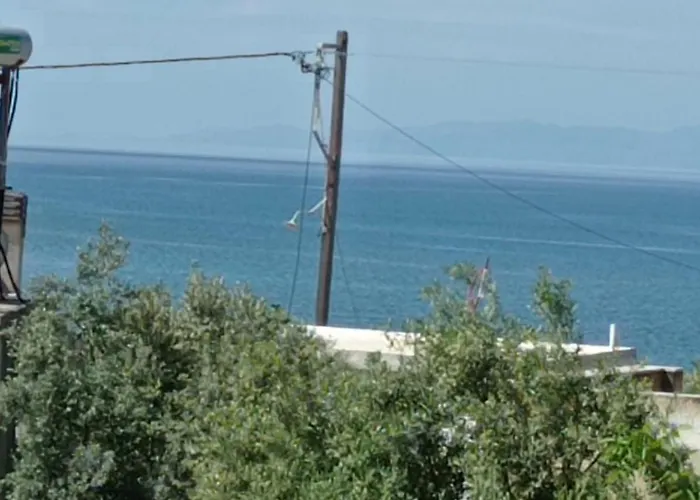 Ioanna's Traditional Elia (Laconia)