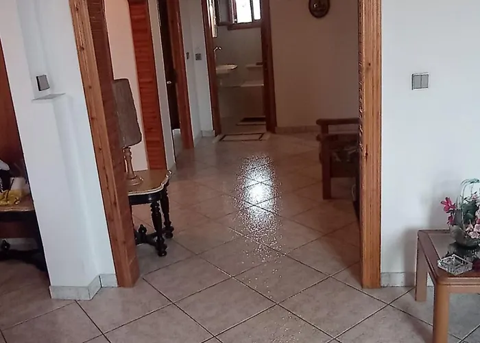 Ioanna's Traditional Daire Elia (Laconia)